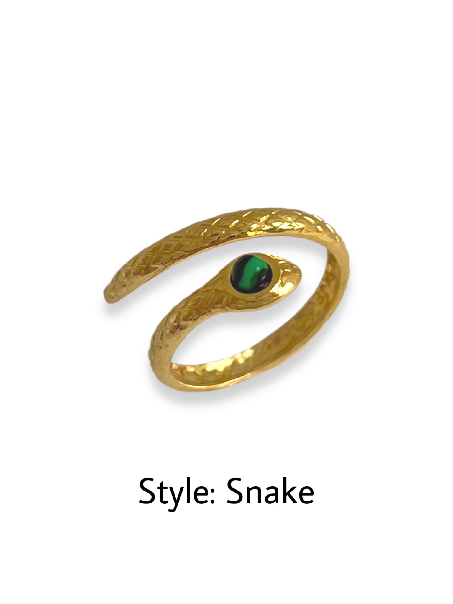 DAILY RINGS II